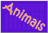 Flashcard backing for Farm Animals set